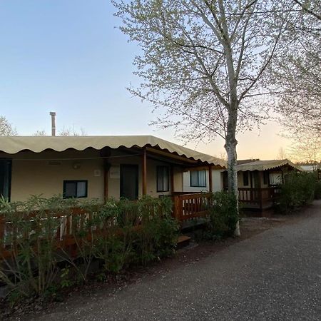 Zona Rosa 5 Chalet Mit Klimaanlage Und Wlan 비아레지오 외부 사진